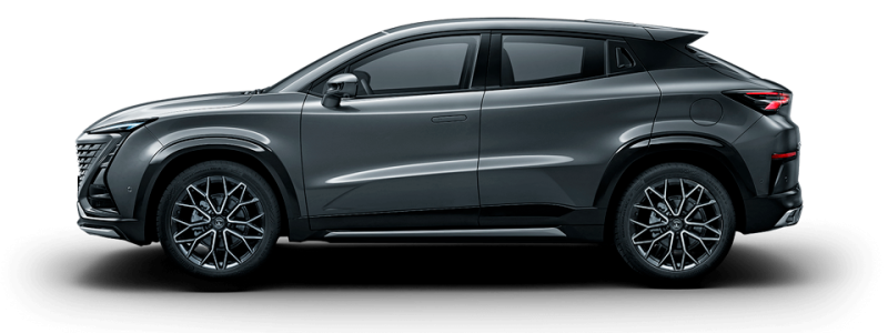 Звездный серый